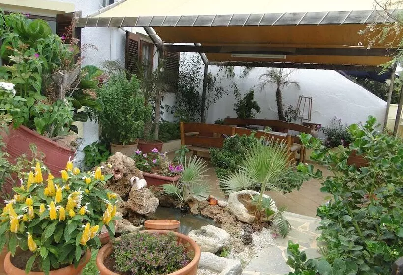 Paradise Inn