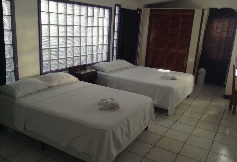 بنسيون Amelia Guest House