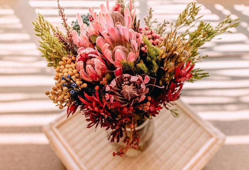 بنسيون La Vista Lodge