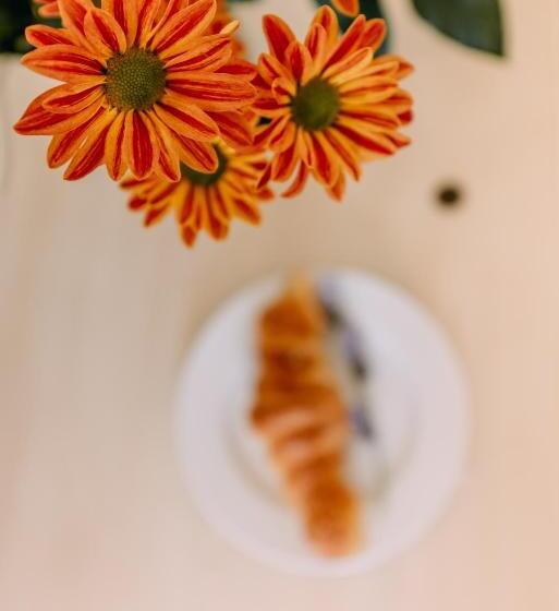 بنسيون La Vista Lodge