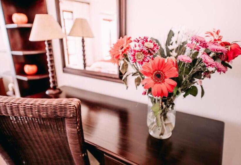 بنسيون La Vista Lodge