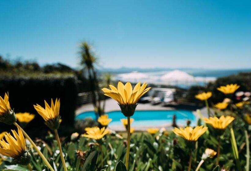 بنسيون La Vista Lodge