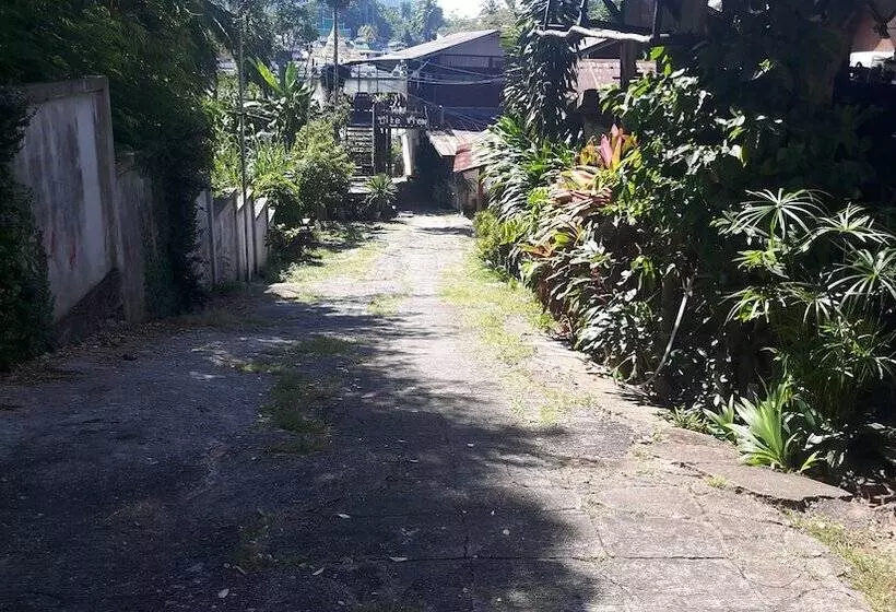 ペンション The Like View Guesthouse