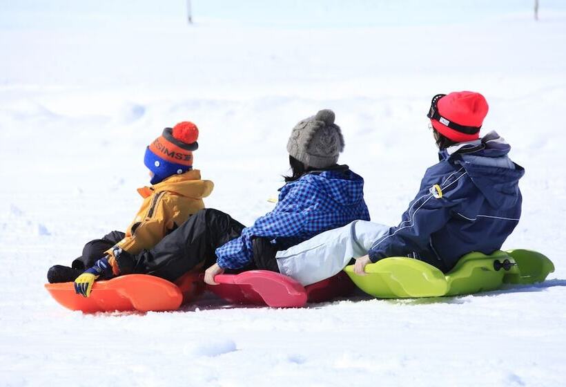 ريوكان Yudanaka Seifuso