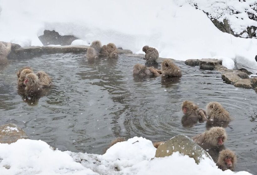 ريوكان Yudanaka Seifuso