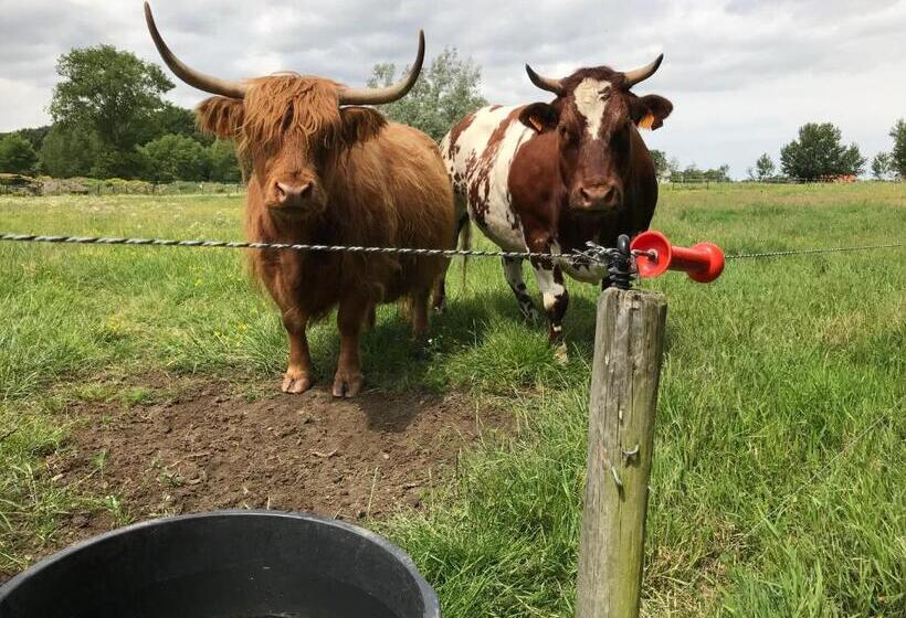 住宿加早餐  Vita Roka Met Extra Luxe Privé Wellness