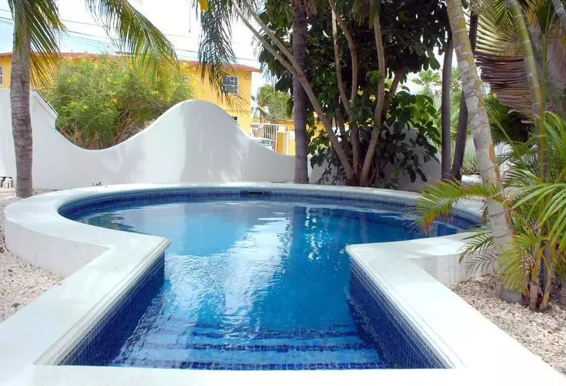تختخواب و صبحانه Bnbbonaire Near The Ocean