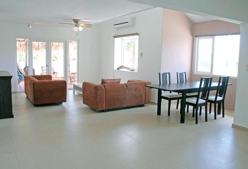 تختخواب و صبحانه Bnbbonaire Near The Ocean