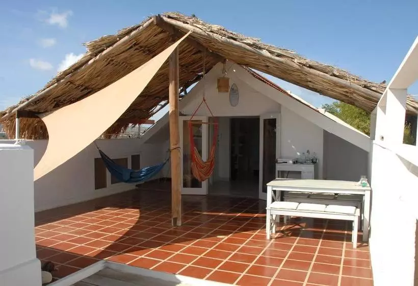 تختخواب و صبحانه Bnbbonaire Near The Ocean