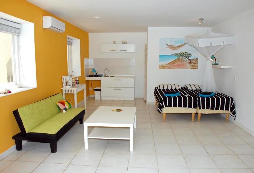 تختخواب و صبحانه Bnbbonaire Near The Ocean