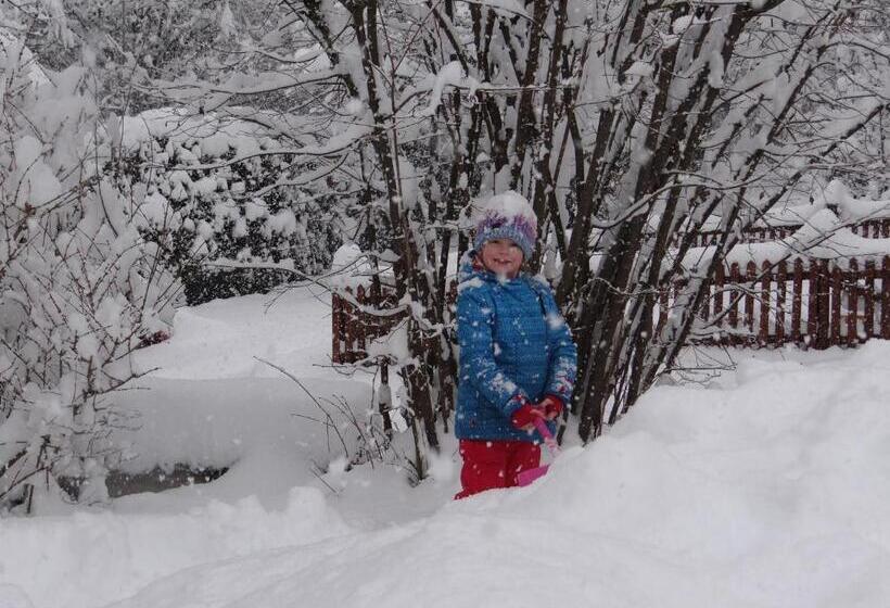 ベッドアンドブレックファースト Haus Binderschuster