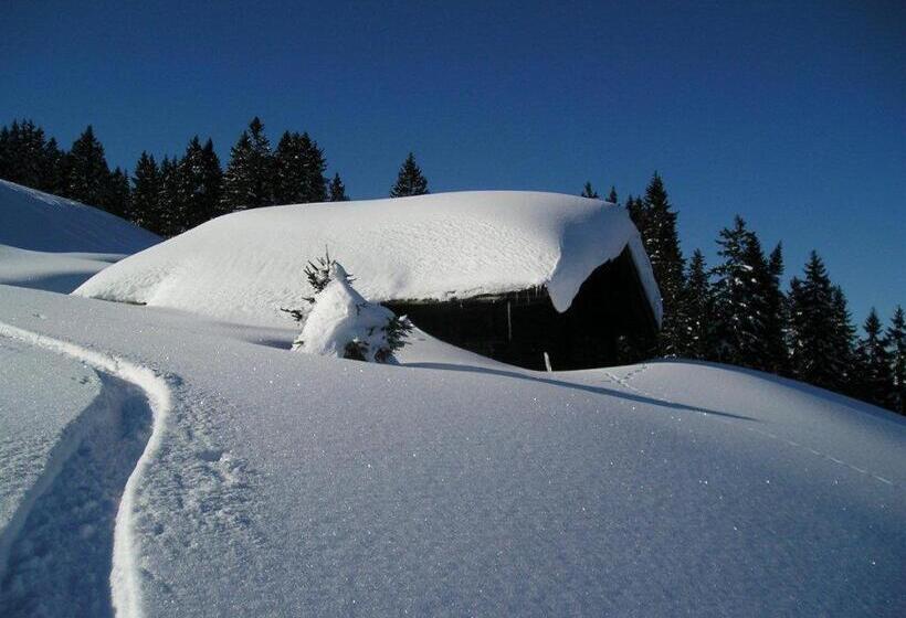 ベッドアンドブレックファースト Haus Binderschuster