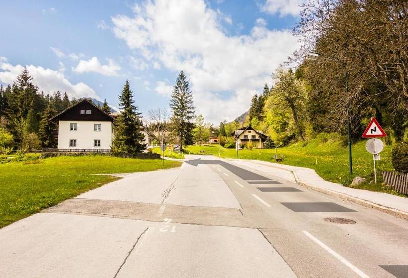 ベッドアンドブレックファースト Haus Sieben Singer Lydia