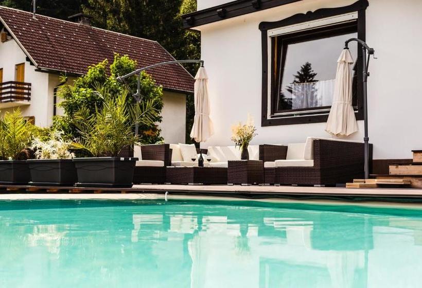 ベッドアンドブレックファースト Haus Sieben Singer Lydia