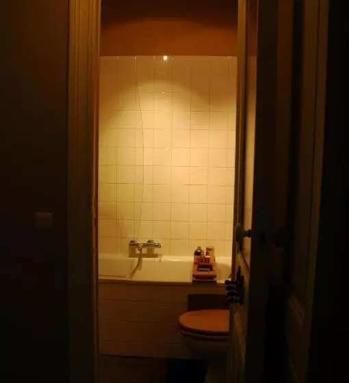 تختخواب و صبحانه Villa Des Roses Voltaire