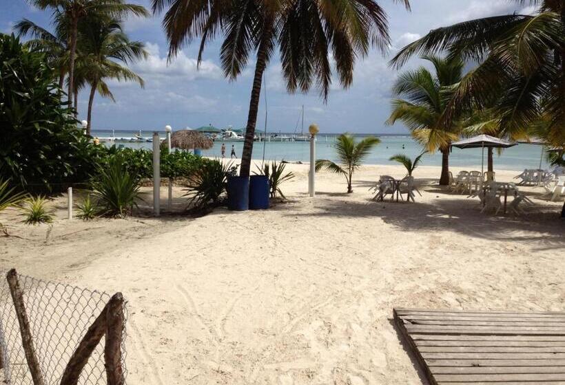 בית מלון כפרי Arena Coco Playa