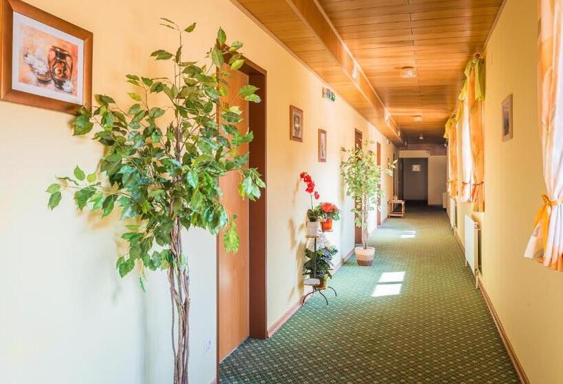 Hotelli Garni Steinfeld