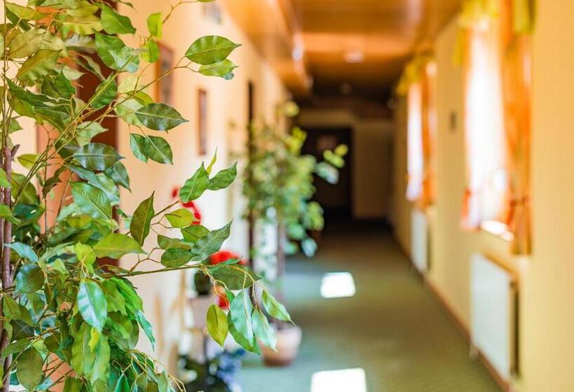 Hotelli Garni Steinfeld