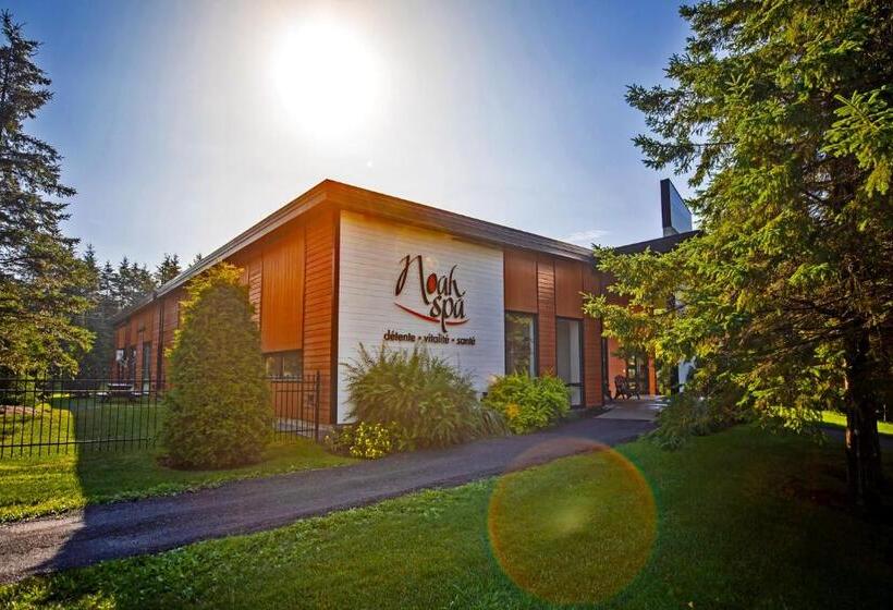 酒店 La Cache A Maxime