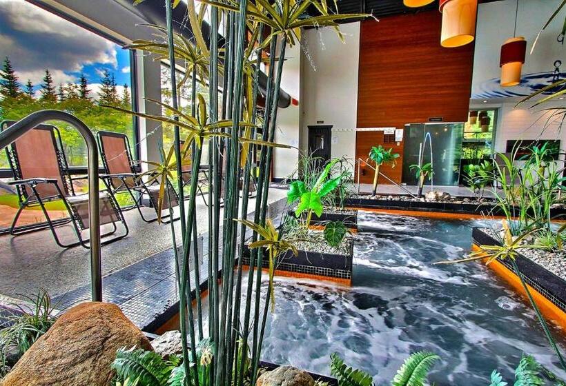 酒店 La Cache A Maxime