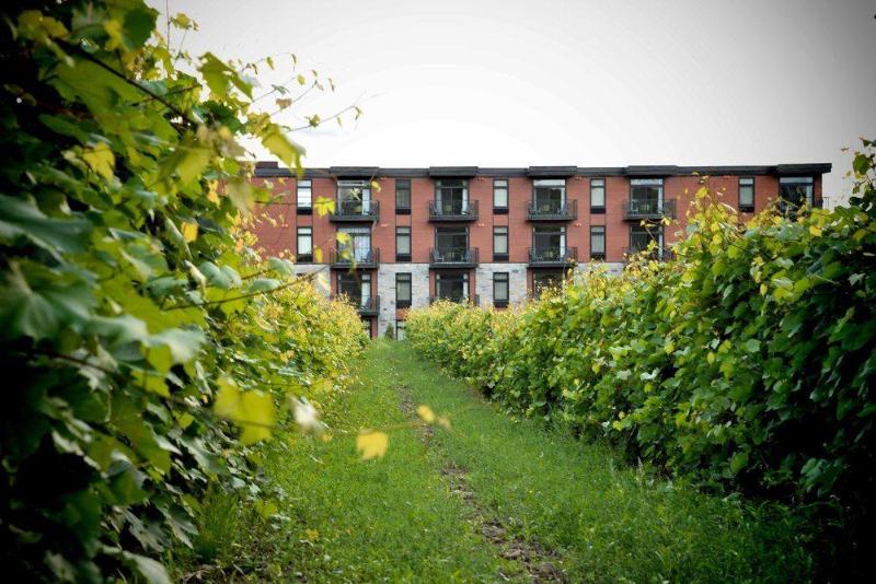 فندق La Cache A Maxime