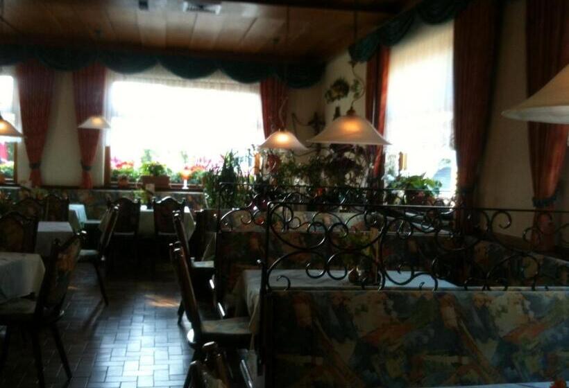 Hotelli Pension Lärchenhof