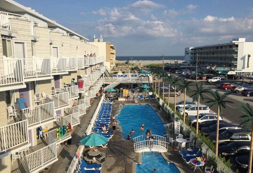 فندق على الطريق Shalimar Resort