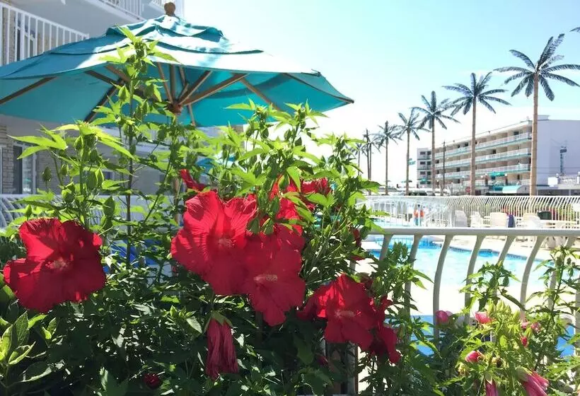 Motelli Shalimar Resort