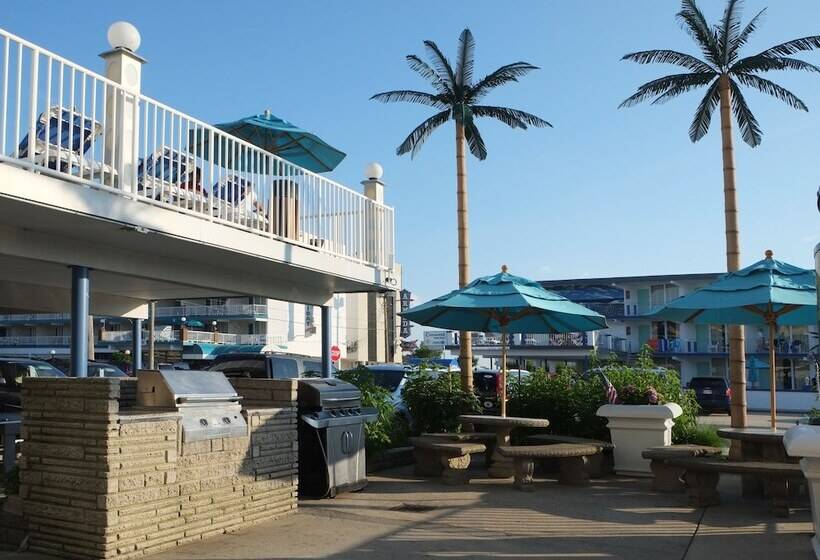 فندق على الطريق Shalimar Resort