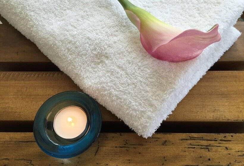 فندق على الطريق Shalimar Resort