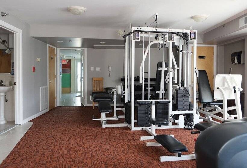 فندق على الطريق Shalimar Resort