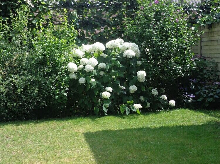 ベッドアンドブレックファースト Villa De Keyser