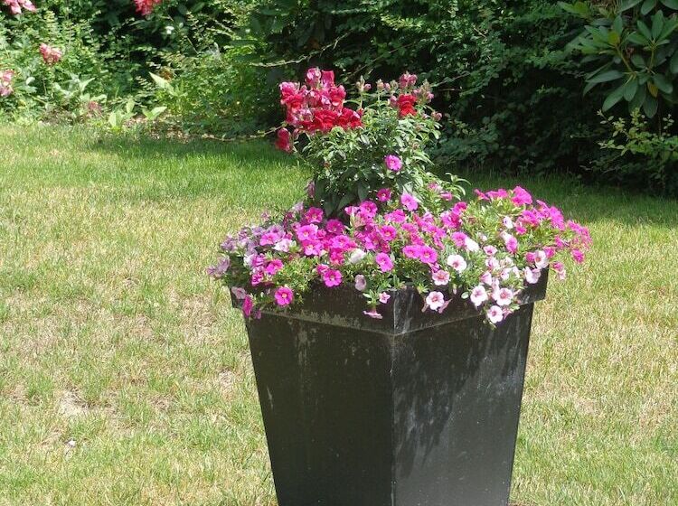 ベッドアンドブレックファースト Villa De Keyser