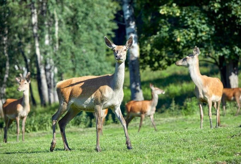 ホテル Gasthof Abelhof