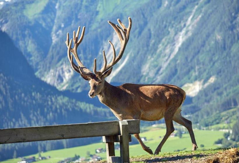 ホテル Gasthof Abelhof