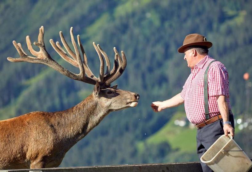 ホテル Gasthof Abelhof