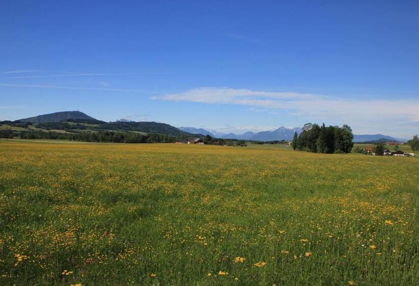 Landhotel Drei Eichen