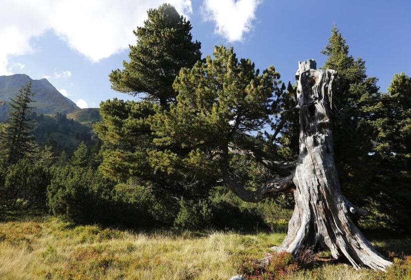 Alpenhotel & Aparthotel Lanz