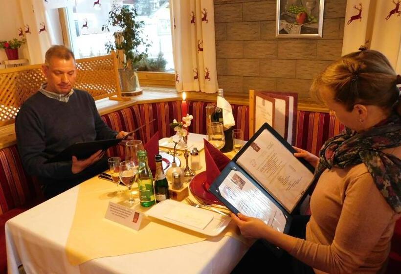 Alpenhotel & Aparthotel Lanz