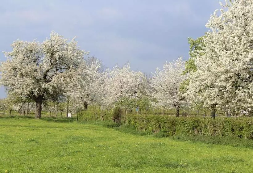 B&b De Vroling