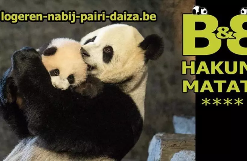 B&b Hakuna Matata