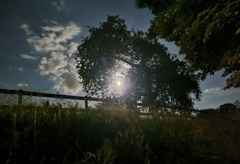 B&b Le Moulin De Resteigne