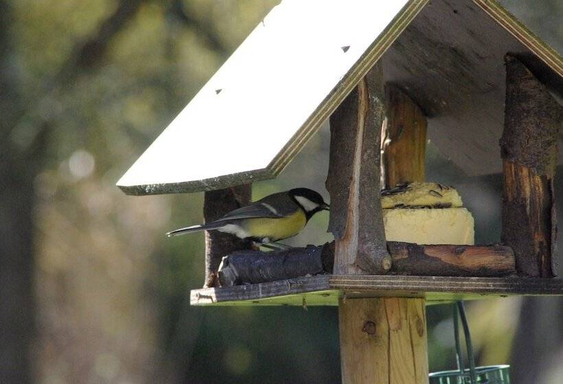 B&b Le Moulin De Resteigne