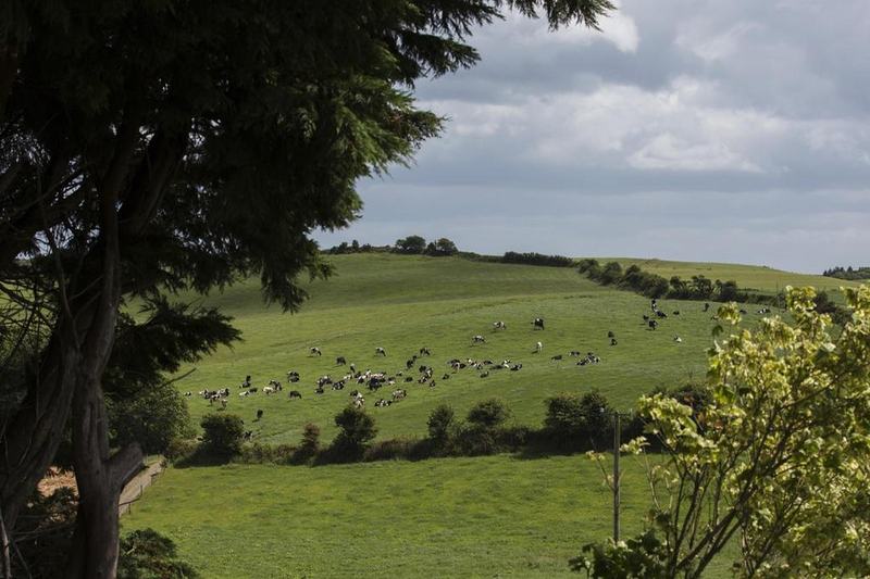 مبيت وإفطار Ard Na Greine Country House