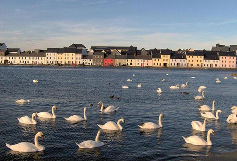 민박 Griffin Lodge Guesthouse