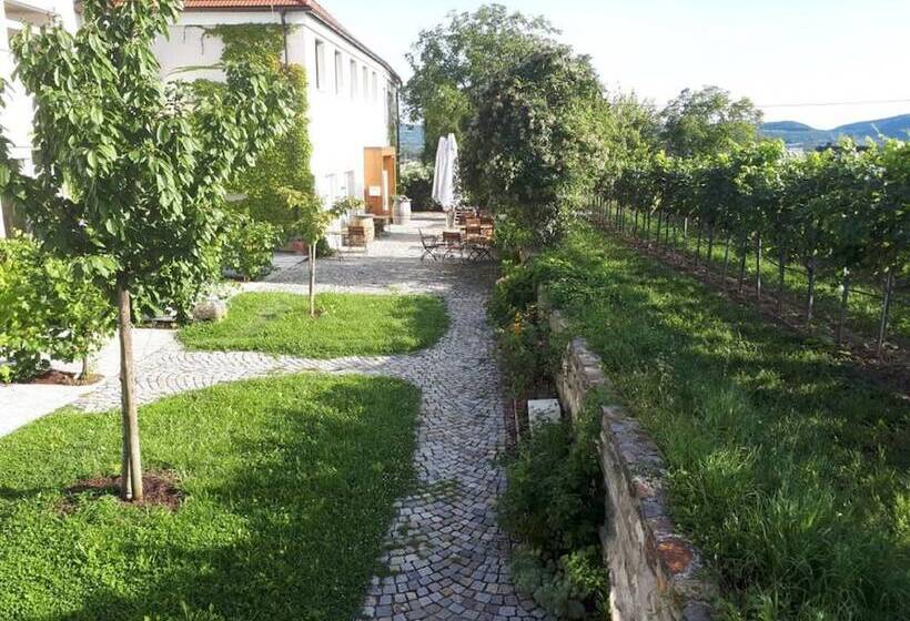 Bed and Breakfast Wein Gut Hutter