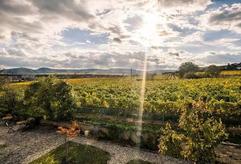 Aamiaismajoitus (B&B) Wein Gut Hutter