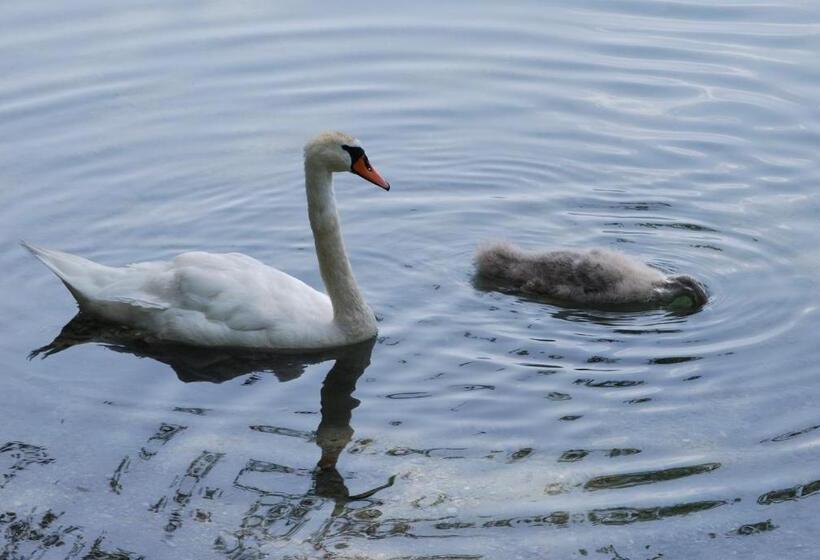 ホテル Der Erlhof Restaurant & Land