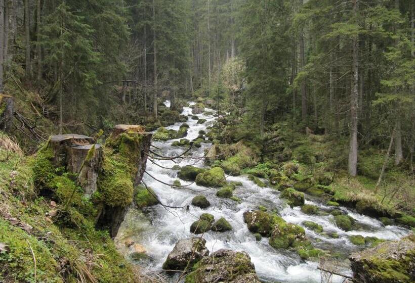 호텔 Goldener Ochs