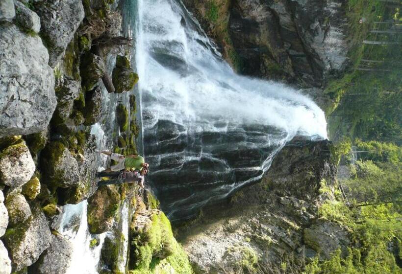 호텔 Goldener Ochs